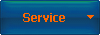 Service